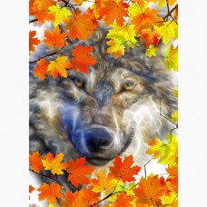  GREETING CARD Autumn Wolf